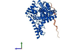 AlphaFold protein structure predicition of Mouse Recombinant Fads3 Protein, UniprotID Q9JJE7