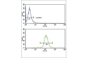 Flow Cytometry (FACS) image for anti-ATP-Binding Cassette, Sub-Family G (WHITE), Member 1 (ABCG1) antibody (ABIN3002669) (ABCG1 anticorps)