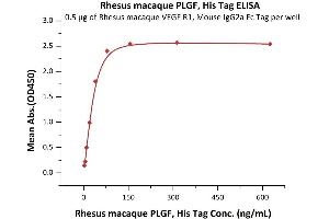 Immobilized Rhesus macaque VEGF R1, Mouse IgG2a Fc Tag, low endotoxin (ABIN5955010,ABIN6809970) at 5 μg/mL (100 μL/well) can bind Rhesus macaque PLGF, His Tag (ABIN5955014,ABIN6809969) with a linear range of 2-40 ng/mL (QC tested).