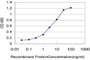 Detection limit for recombinant GST tagged IL8 is approximately 0. (IL-8 anticorps  (AA 21-99))