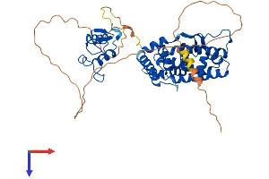 AlphaFold protein structure predicition of Mouse Recombinant Esrrg Protein, UniprotID P62509