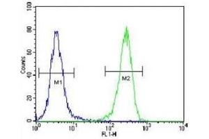 AQP11 antibody flow cytometric analysis of 293 cells (green) compared to a negative control (blue). (AQP11 anticorps  (AA 244-271))