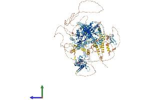 AlphaFold protein structure predicition of Human Recombinant SMARCA4 Protein, UniprotID P51532