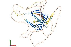AlphaFold protein structure predicition of Human Recombinant CSRNP3 Protein, UniprotID Q8WYN3