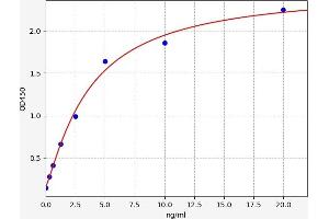 Typical standard curve (K-RAS Kit ELISA)