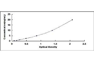 Typical standard curve (RIOK3 Kit ELISA)