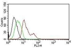 Flow Cytometry for human ER-alpha on MCF-7 cells. (Estrogen Receptor alpha anticorps  (AA 2-185))