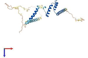 AlphaFold protein structure predicition of Mouse Recombinant Eif3j1 Protein, UniprotID Q3UGC7