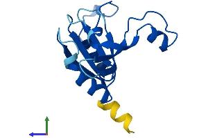 AlphaFold protein structure predicition of Human Recombinant UFSP1 Protein, UniprotID Q6NVU6