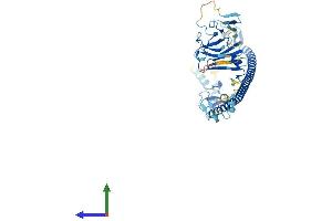 AlphaFold protein structure predicition of Human Recombinant TRIM17 Protein, UniprotID Q9Y577