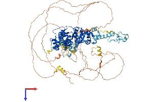 AlphaFold protein structure predicition of Mouse Recombinant Gen1 Protein, UniprotID Q8BMI4