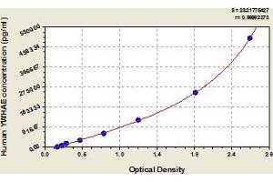 Typical Standard Curve (YWHAE Kit ELISA)