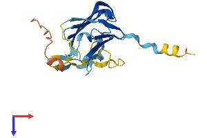 AlphaFold protein structure predicition of Mouse Recombinant Hspb2 Protein, UniprotID Q99PR8