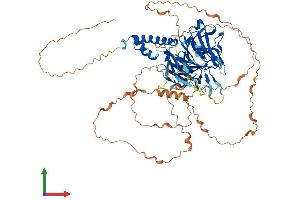 AlphaFold protein structure predicition of Mouse Recombinant Fbxo42 Protein, UniprotID Q6PDJ6