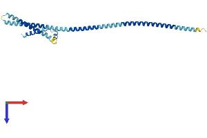 AlphaFold protein structure predicition of Human Recombinant BCAP29 Protein, UniprotID Q9UHQ4