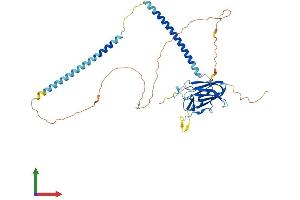 AlphaFold protein structure predicition of Mouse Recombinant Spag4 Protein, UniprotID Q9JJF2