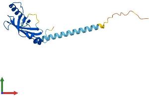 AlphaFold protein structure predicition of Mouse Recombinant Cbfb Protein, UniprotID Q08024