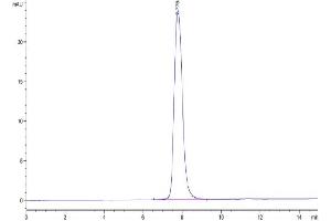 The purity of Cynomolgus PDGFR beta is greater than 95 % as determined by SEC-HPLC.