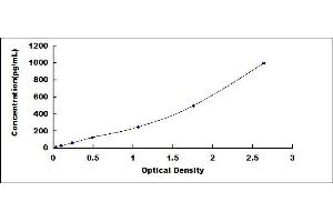 Typical standard curve
