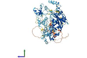 AlphaFold protein structure predicition of Human Recombinant USP13 Protein, UniprotID Q92995