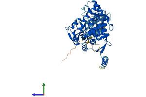AlphaFold protein structure predicition of Human Recombinant TPH1 Protein, UniprotID P17752