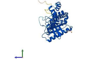 AlphaFold protein structure predicition of Human Recombinant GIMAP7 Protein, UniprotID Q8NHV1
