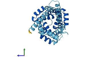 AlphaFold protein structure predicition of Human Recombinant SLC25A35 Protein, UniprotID Q3KQZ1