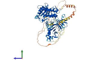 AlphaFold protein structure predicition of Human Recombinant PLK2 Protein, UniprotID Q9NYY3
