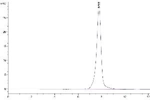 The purity of Human BACE-1 is greater than 95 % as determined by SEC-HPLC.