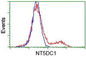 HEK293T cells transfected with either RC211087 overexpress plasmid (Red) or empty vector control plasmid (Blue) were immunostained by anti-NT5DC1 antibody (ABIN2453857), and then analyzed by flow cytometry. (NT5DC1 anticorps)