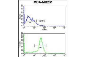 Flow cytometry analysis of MDA-MB231 cells (bottom histogram) compared to a negative control cell (top histogram).