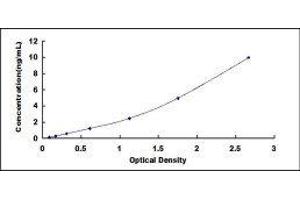 Typical standard curve (HSPD1 Kit ELISA)