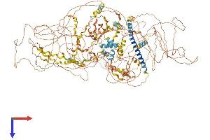 AlphaFold protein structure predicition of Human Recombinant COL17A1 Protein, UniprotID Q9UMD9