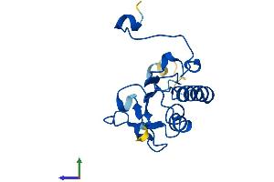 AlphaFold protein structure predicition of Human Recombinant NSUN5P1 Protein, UniprotID Q3KNT7