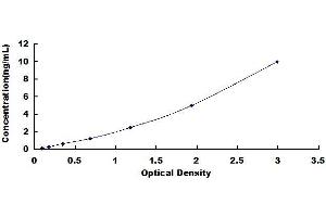 Typical standard curve (LOR Kit ELISA)