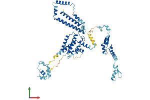 AlphaFold protein structure predicition of Human Recombinant SF3A3 Protein, UniprotID Q12874