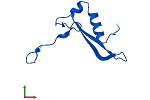 AlphaFold protein structure predicition of Mouse Recombinant Rps21 Protein, UniprotID Q9CQR2