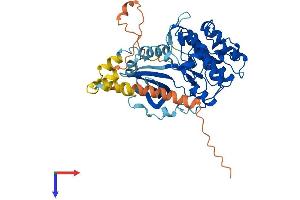 AlphaFold protein structure predicition of Human Recombinant SGK1 Protein, UniprotID O00141