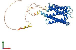 AlphaFold protein structure predicition of Human Recombinant FAIM2 Protein, UniprotID Q9BWQ8