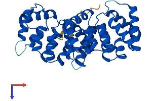 Annexin A10 (ANXA10) (AA 1-324) protein (His tag)