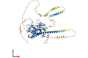 AlphaFold protein structure predicition of Human Recombinant HS6ST2 Protein, UniprotID Q96MM7