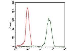 Flow Cytometry (FACS) image for anti-Eukaryotic Translation Initiation Factor 4B (EIF4B) antibody (ABIN1843563) (EIF4B anticorps)
