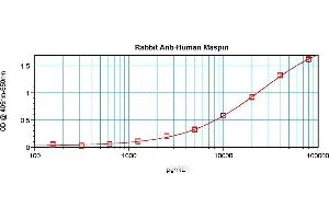 Sandwich ELISA using Maspin antibody