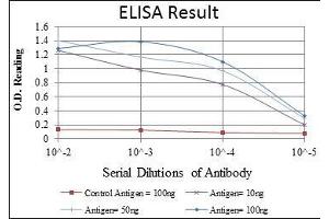 Red: Control Antigen (100 ng), Purple: Antigen (10 ng), Green: Antigen (50 ng), Blue: Antigen (100 ng),