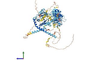 AlphaFold protein structure predicition of Human Recombinant DDX27 Protein, UniprotID Q96GQ7