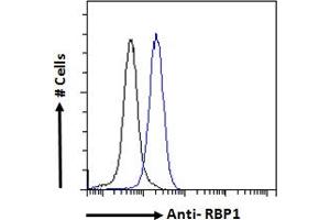ABIN185365 Flow cytometric analysis of paraformaldehyde fixed HeLa cells (blue line), permeabilized with 0.