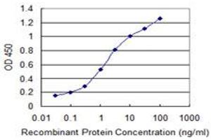 Detection limit for recombinant GST tagged ARFIP2 is 0. (ARFIP2 anticorps  (AA 1-110))