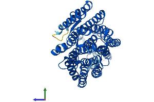 AlphaFold protein structure predicition of Human Recombinant MT-ND4 Protein, UniprotID P03905