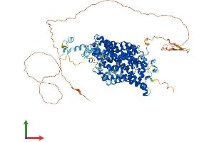 AlphaFold protein structure predicition of Mouse Recombinant Slc6a5 Protein, UniprotID Q761V0
