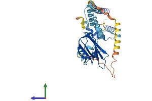 AlphaFold protein structure predicition of Human Recombinant NUDC Protein, UniprotID Q9Y266 (NUDC Protein (AA 1-331) (His tag))